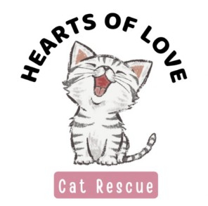Hearts of Love Cat Rescue & Adoption